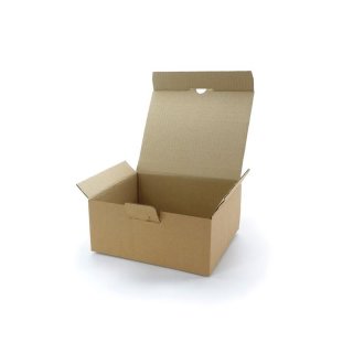 Warensendung Kartons 1-wellig 240 x 200 x 100 mm