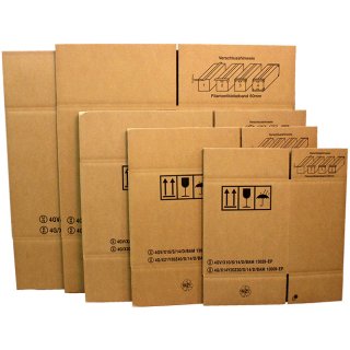 Gefahrgutkarton 275 x 195 x 300 mm mit UN-Kennzeichnung 4G Verpackung