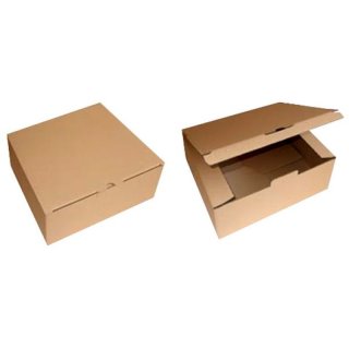 10 Stück Warensendung Kartons 1-wellig 240 x 200 x 100 mm