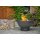 Feuerschale Fat Boy massiv Naturstahl Durchmesser 85 cm