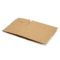 Automatikkarton Aufreißperforation wiederverschließbar 250 x 155 x 110 mm