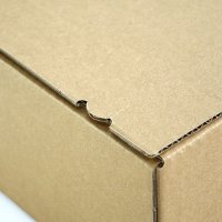 Fix-Aufrichtekartons mit Aufreißfaden 1-wellig 310 x 230 x 110 mm A4