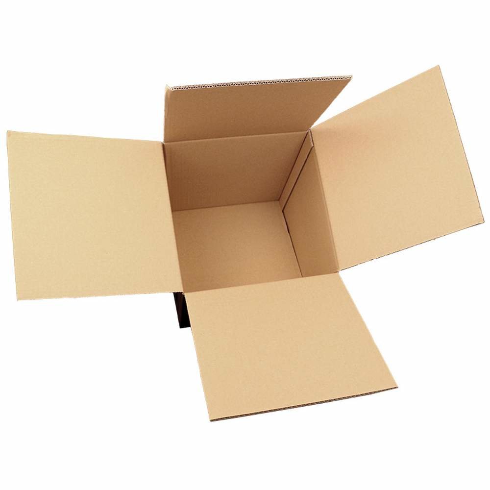 DIB Glas 500 g im 12er Karton – Sandys Beestore