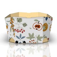 Schalen Früchtemix für 500 g 157 x 92 x 58 mm