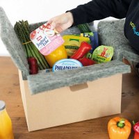 Faltkartons mit Vlies-Inlay 580 x 380 x 200 mm 44 Liter