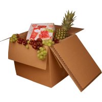Faltkartons mit Wabeninlay 387 x 322 x 325 mm 40 Liter
